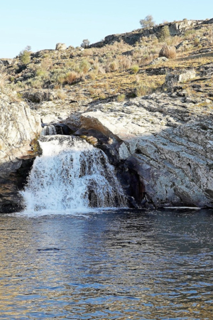 "O Melhor Natal de Portugal" - Pinhel